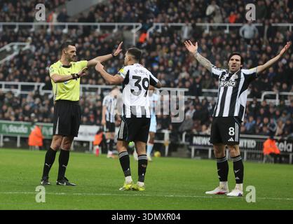 Newcastle upon Tyne, Großbritannien. Februar 2026. Bruno Guimaraes und Sandro TONALi von Newcastle United appellieren für eine Strafe während des Spiels Newcastle United gegen Brentford Premier League im St. James' Park, Newcastle upon Tyne. Der Bildnachweis sollte lauten: Nigel Roddis/Sportimage Credit: Sportimage Ltd/Alamy Live News Stockfoto