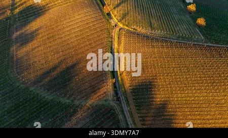 Ein atemberaubender Blick aus der Luft fängt den goldenen Sonnenaufgang über den Weinbergen in Alice Bel Colle, Piemont, ein. Auf diesem Bild erstrecken sich Weinreihen über sanfte Hügel Stockfoto