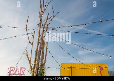 Ein blattloser Baum ist mit bunten Lichtern vor einem klaren blauen Himmel gesäumt, was eine festliche und fröhliche Atmosphäre schafft. Eine gelbe Struktur sorgt für Kontrast in Stockfoto