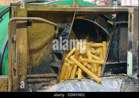 Trommelentrinder verarbeitet Baumstämme in einer Holzwerkstatt während der Tageslichtstunden für eine effiziente Holzaufbereitung Stockfoto