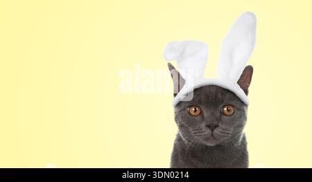 Niedliche Katze mit Osterhasenohren Stirnband auf beigefarbenem Hintergrund. Bannerdesign mit Platz für Text Stockfoto