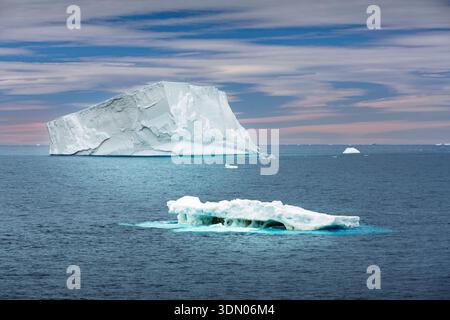 Eisberge in der Admiralty Bay, Antarktische Halbinsel, Antarktis. Stockfoto