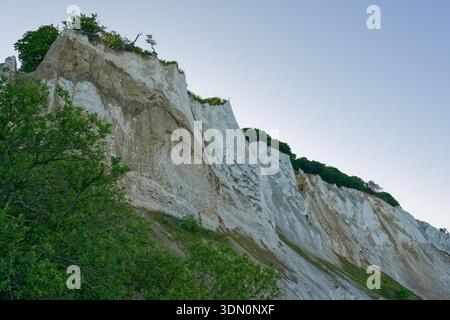 Die weißen Kreidefelsen von Mons Klint erstrecken sich entlang der Ostsee und zeigen dramatische Geologie, Erosion und die berühmte skandinavische Küstenlandschaft Stockfoto