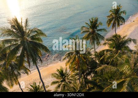 Erleben Sie die ruhige Atmosphäre von Takhian Beach, Koh Kood, Thailand, wo Palmen sanft in der Brise schwingen und das klare Wasser Sie zum Entspannen einlädt. Stockfoto