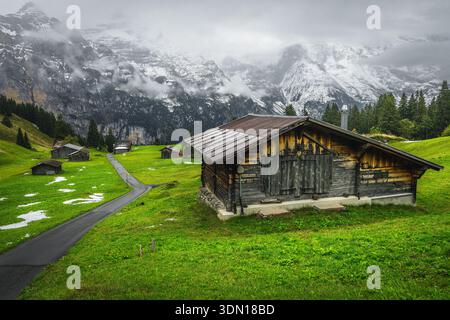Frühlingslandschaft mit alpinen Holzhütten auf den grünen Wiesen und nebelverschneiten Bergen im Hintergrund, Murren, Lauterbrunnental, Berner Oberland, Stockfoto