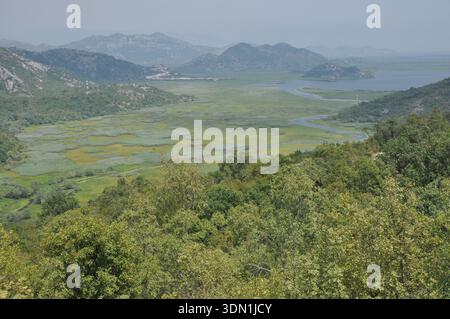 Eine wunderschöne Landschaft bietet ein lebhaftes grünes Tal voller blühender Pflanzen. Ein sich windender Fluss fließt durch die Szene, der von entfernten Bergen begrenzt wird Stockfoto