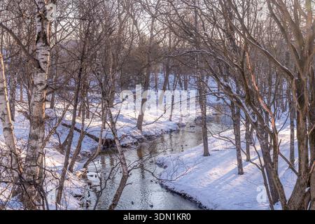 Winterwaldpark in Vologda, Russland, während des schneebedeckten Nachmittags in ruhiger Waldlage. Stockfoto