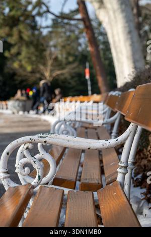Eine Reihe leerer Parkbänke wartet in der Wintersonne auf Besucher. Im Hintergrund versammeln sich die Menschen und genießen den Tag im Park. Stockfoto