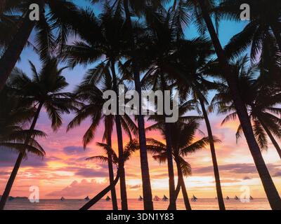 Boracay Island Resort Sonnenuntergang Meer und Palmen Strandlandschaft auf den Philippinen, Reise tropisches Paradies schöne Reiseziele Segelboote idyllische Szene Stockfoto