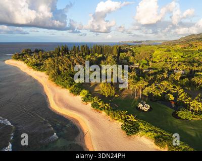 Aus der Vogelperspektive auf einen tropischen Strand und eine üppige Küste an der Nordküste von Kauai, Hawaii, USA Stockfoto