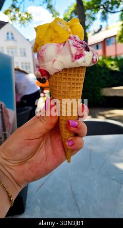Nahaufnahme einer Hand mit violettem nagellack, die eine Eiskugel mit zwei Schaufeln hält Stockfoto