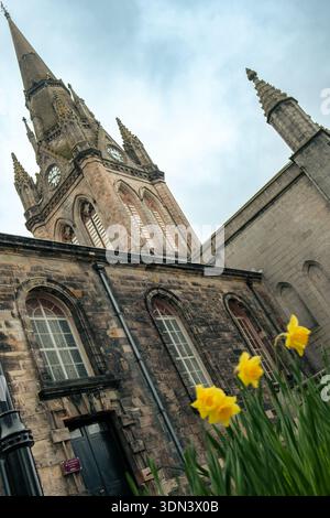 Niedrigwinkelansicht der Nikolaikirche mit Narzissen (Narcissus spp.) Im Vordergrund, Aberdeen, Schottland. Stockfoto