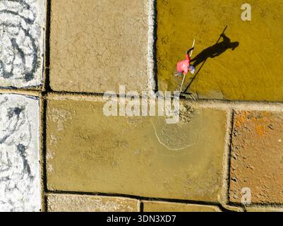Aus der Vogelperspektive einer einsamen Figur, die in leuchtendem Rosa verziert ist und einen langen Schatten über die strukturierten, sonnengebackenen Salzfelder wirft, Cox's Bazar, Chittagong Divis Stockfoto