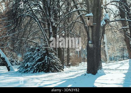 Schöner Stadtpark im Winter nach Schneefall mit Bäumen, alten Straßenlaternen und Vogelhäuschen bedeckt von Schnee, Winterlandschaft Stockfoto