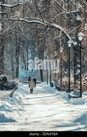 Schöner Park im Winter nach Schneefall mit Bäumen, alten Straßenlampen und Bänken mit Schnee bedeckt, Winterlandschaft, vertikal Stockfoto