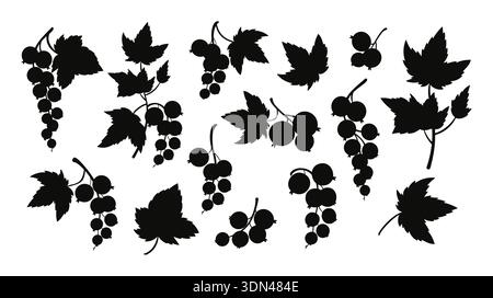 Schwarze Johannisbeeren Silhouetten. Botanisches Set Beerenzweige und Blätter. Isoliert, handgezeichnet auf weiß. Vektorabbildung Stock Vektor