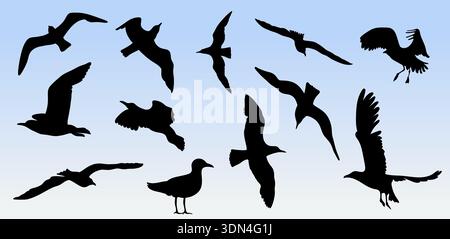 Set mit Möwe-Silhouette. Gruppe Möwe Fliegende Silhouette Vektor Illustration. Fliegende und stehende Möwen Vögel Silhouette schwarz Stock Vektor