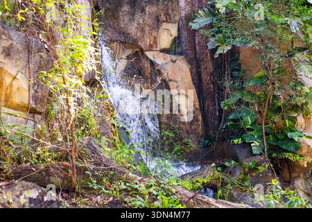 Ein kleiner natürlicher Wasserfall fällt über eine felsige Klippe, umgeben von üppigen tropischen Pflanzen und Bäumen. Stockfoto