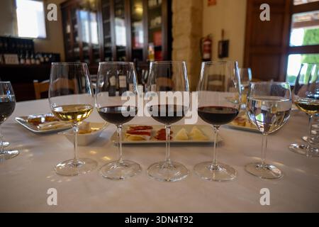 Jerez, Spanien - 23. Juli 30: Eine Auswahl an Weingläsern gefüllt mit verschiedenen Weinsorten, einschließlich weiß und Rot, auf einem Tisch mit einer Platte Stockfoto