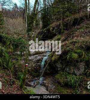 Kleiner Waldwasserfall, der über Felsen in üppiger italienischer Waldlandschaft fließt Stockfoto