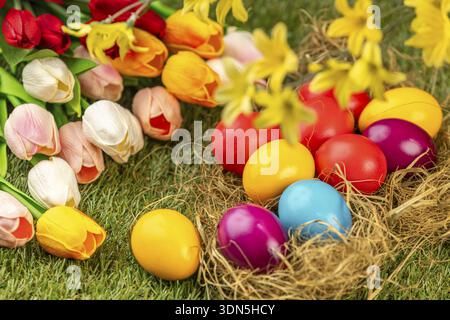 Bunte Ostereier in einem Nest mit umliegenden Tulpen und Frühlingsblumen Stockfoto