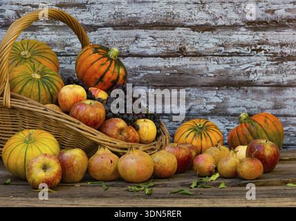 Korb voll mit Kürbissen, Äpfeln und verschiedenen Herbstfrüchten und Blumen Stockfoto