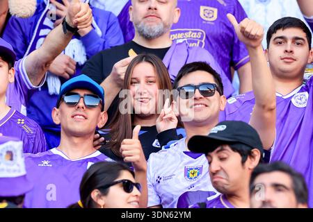 Santiago, Chile – 8. Februar 2026: Die Fans der Universidad Catolica feuern ihre Spieler während des ersten Ligaspiels an. Universidad Catolica besiegte Deportes Concepcion in der zweiten Runde des lokalen Turniers. Die Mannschaft der „Cruzado“ siegte in Santiago und verdiente drei wichtige Punkte, um die Rangliste zu erklimmen und ihren ersten Saisonsieg vor ihren Fans zu feiern. (FOTO: PEPE ALVUJAR/PHOTOSPORT/UNAR-AGENTUR) Stockfoto
