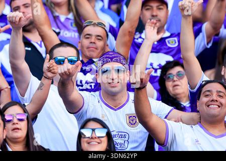 Santiago, Chile – 8. Februar 2026: Die Fans der Universidad Catolica feuern ihre Spieler während des ersten Ligaspiels an. Universidad Catolica besiegte Deportes Concepcion in der zweiten Runde des lokalen Turniers. Die Mannschaft der „Cruzado“ siegte in Santiago und verdiente drei wichtige Punkte, um die Rangliste zu erklimmen und ihren ersten Saisonsieg vor ihren Fans zu feiern. (FOTO: PEPE ALVUJAR/PHOTOSPORT/UNAR-AGENTUR) Stockfoto