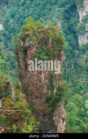 Isolierte Sandsteinsäule bedeckt mit Bäumen, die über dem dichten Waldtal in der malerischen Landschaft des Zhangjiajie National Forest Park ragt Stockfoto
