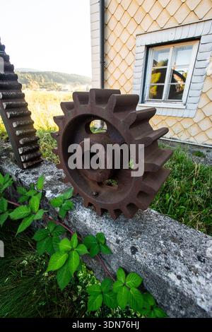 Entlang des Brunnbach am Themenweg „die Mühlen am Brunnbach“ in Thalgau im Salzburger Flachgau, Salzburg, Österreich am 20.09.2023. // entlang des Brunnbachs auf dem Themenweg „die Mühlen am Brunnbach“ in Thalgau im Salzburger Flachgau, Salzburg, Österreich am 20. September 2023. - 20230920 PD29785 Stockfoto