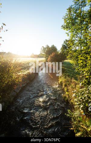 Entlang des Brunnbach am Themenweg „die Mühlen am Brunnbach“ in Thalgau im Salzburger Flachgau, Salzburg, Österreich am 20.09.2023. // entlang des Brunnbachs auf dem Themenweg „die Mühlen am Brunnbach“ in Thalgau im Salzburger Flachgau, Salzburg, Österreich am 20. September 2023. - 20230920 PD29784 Stockfoto
