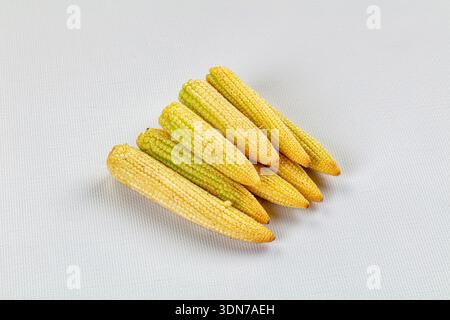 Ansicht von oben nach unten auf mehreren frischen, gelben Maiskolben, die auf einem strukturierten Schieferhintergrund angeordnet sind. Die natürliche Beleuchtung unterstreicht die Textur des Rohgemüse Stockfoto