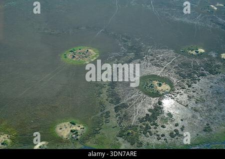 Botswana, Afrika Stockfoto