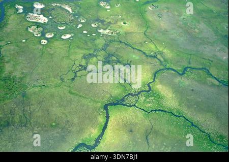 Botswana, Afrika Stockfoto