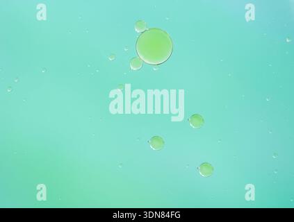Schließen Sie transparente grüne Wasserblasen, die auf einem hellblauen flüssigen Hintergrund aufsteigen. Erfrischendes, sauberes Foto, perfekt für Themen wie Reinheit und Feuchtigkeit. Ma Stockfoto