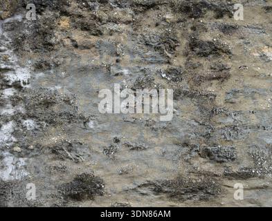 Alte Außenwand mit subtiler Mineralfärbung. Stockfoto