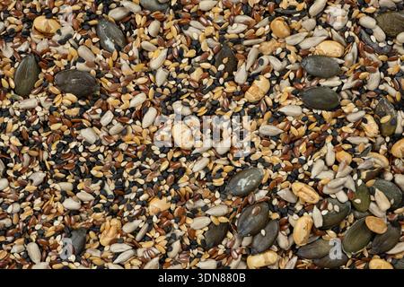 Flache Lagen verschiedener gesunder Samen für Hintergrund oder Tapeten. Stockfoto