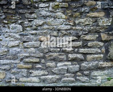 Alte Außenwand mit subtiler Mineralfärbung. Stockfoto
