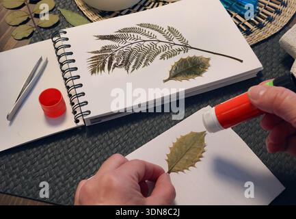 Anonyme Person klebt Blatt von der Pflanze. Sammlung gepresster und getrockneter Blätter und Blumen in einem Album, Herbarium. Kunsthandwerk und Hobbys. Exotisch Stockfoto