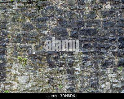 Alte Außenwand mit subtiler Mineralfärbung. Stockfoto