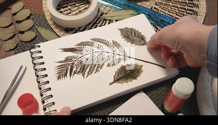Anonyme Person klebt Blatt von der Pflanze. Sammlung gepresster und getrockneter Blätter und Blumen in einem Album, Herbarium. Kunsthandwerk und Hobbys. Exotisch Stockfoto