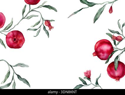 Granatäpfel und rosafarbene Blüten sind rechteckig. Eine gezeichnete manuelle Aquarellabbildung der Grenze mit tropischen Fruchtzweigen auf einem weiß Stockfoto