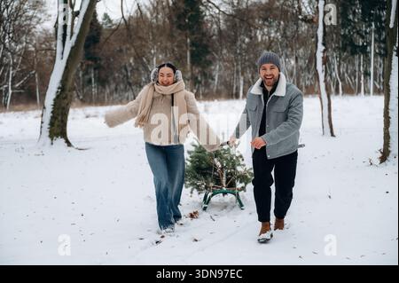 Glückliche asiatische Frau und Afroamerikaner ziehen auf einem Schlitten einen Weihnachtsbaum durch eine verschneite Landschaft, umgeben von Bäumen, und genießen das festliche Stockfoto