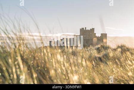 Das berühmte Bamburgh Castle an einem eiskalten Morgen bei Sonnenaufgang durch das Marramgras auf den Dünen in Northumberland, England. Stockfoto