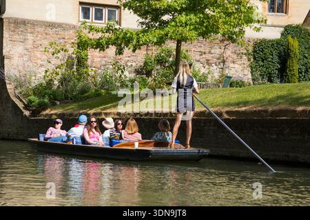 Weibliche Chauffeurin / chauffierte Gruppe von Besuchern, die eine Ausflugsfahrt touristische Punt-Bootsfahrt für Touristen rund um Cambridge auf dem Fluss Cam machen; ein sonniger Tag mit blauem Himmel und Sonne. (138) Stockfoto