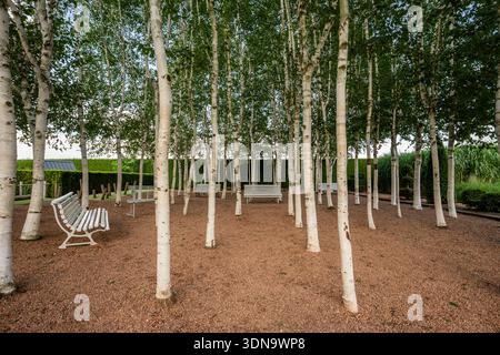 In Ogrody Kapias, Polen, stehen anmutig hohe Birken, umgeben von üppigem Grün, bunten Blumen und ruhigen Gartenwegen. Stockfoto