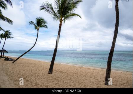 Tropischer weißer Sandstrand mit schiefen Palmen und türkisfarbenem Meer in Le Morne, Mauritius Stockfoto