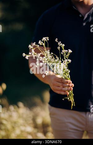 Mann mit einem Strauß wilder Gänseblümchen im Sonnenlicht, romantische Geste Stockfoto