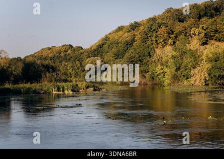 Ruhiger Fluss, der sich in goldener Stunde durch bewaldete Hügel schlängelt, friedliche Naturlandschaft Stockfoto