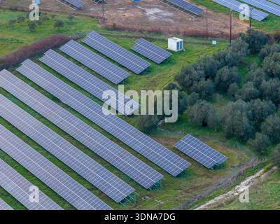 Nahaufnahme von Photovoltaik-Solarpaneelen in Reihen neben einem Olivenhain und grünem Gras in einem nachhaltigen Energiepark in Griechenland Stockfoto